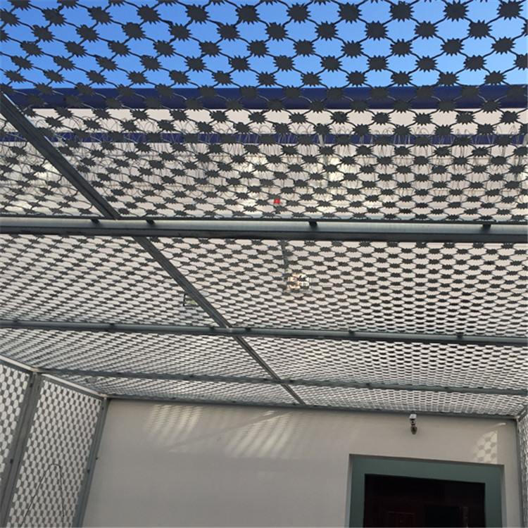 梅花刺隔離網(wǎng)案例展示圖片3 梅花刺隔離網(wǎng)案例展示圖片3