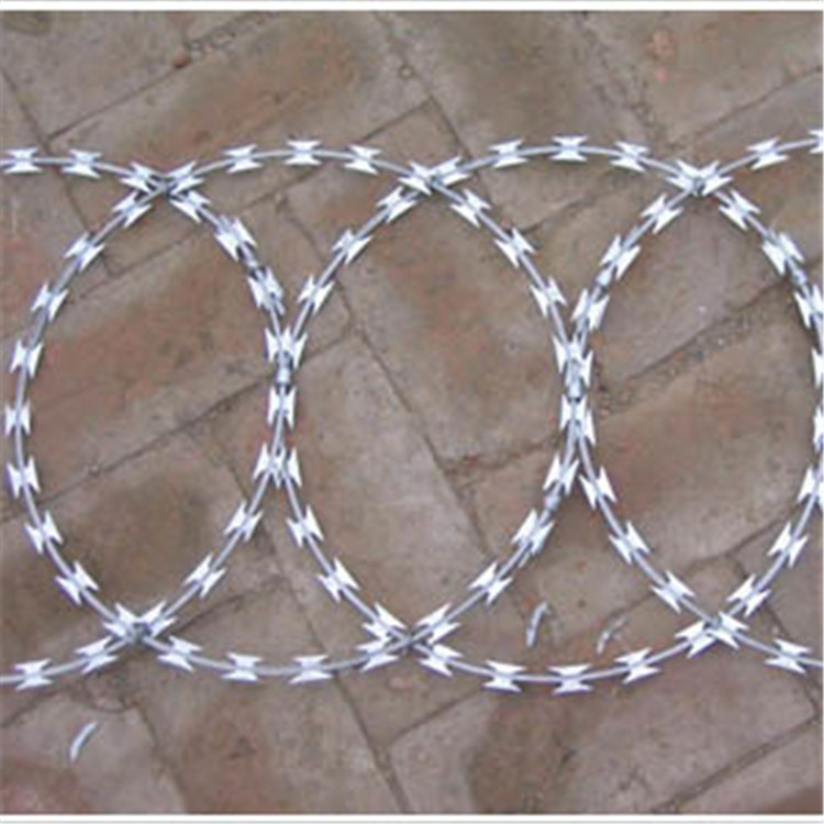  監獄鋼網墻刀片刺繩案例展示圖片3