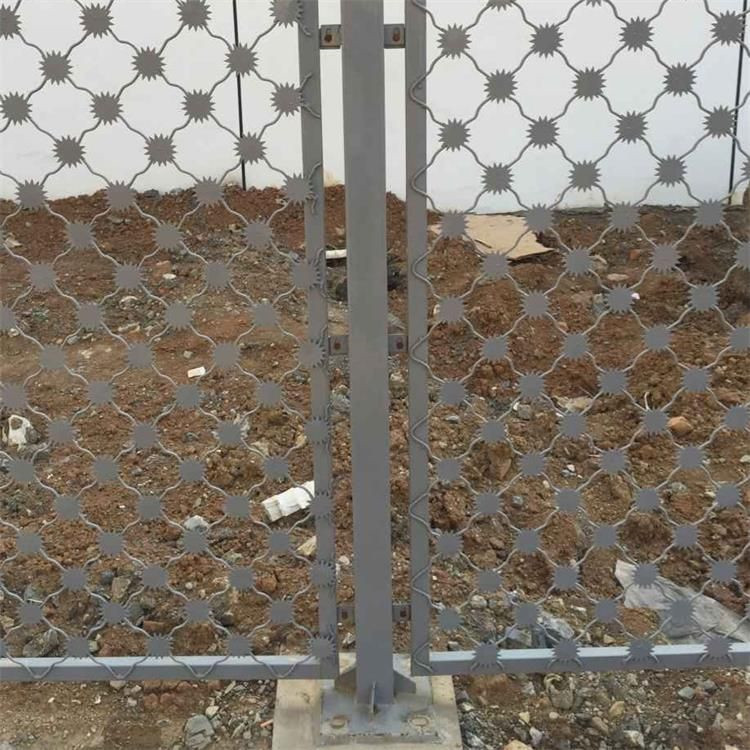 梅花刺監獄防護網案例展示圖片4 梅花刺監獄防護網案例展示圖片4