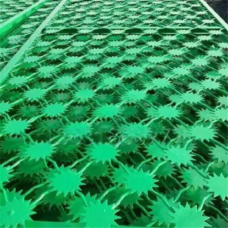 梅花刺隔離網案例展示圖片2 梅花刺隔離網案例展示圖片2