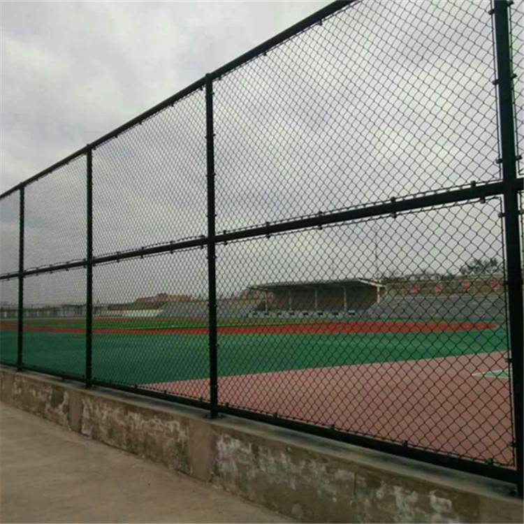 體育場(chǎng)圍網(wǎng)案例展示圖片2 體育場(chǎng)圍網(wǎng)案例展示圖片2