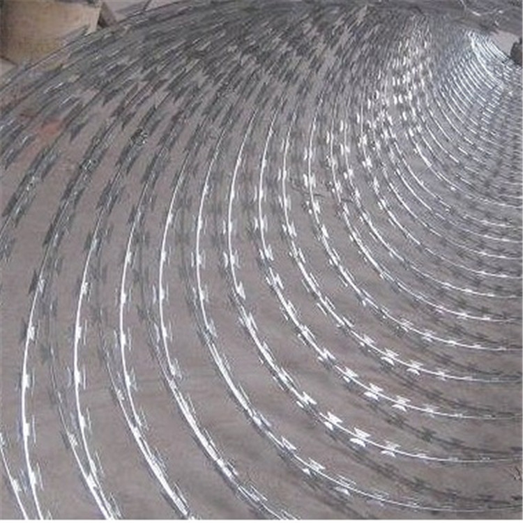 螺旋刀刺網案例展示圖片2